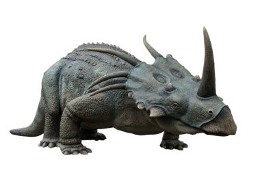 Beyaz arka plan üzerinde izole styracosaurus portresi