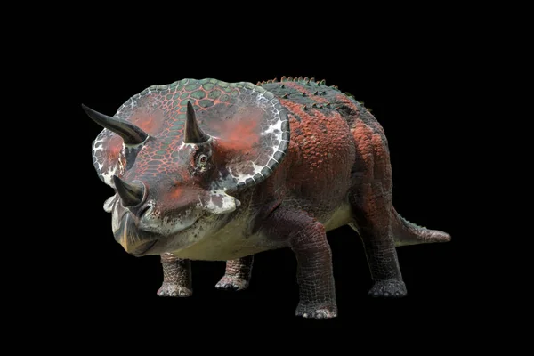 A Triceratops a fekete háttér előtt — Stock Fotó