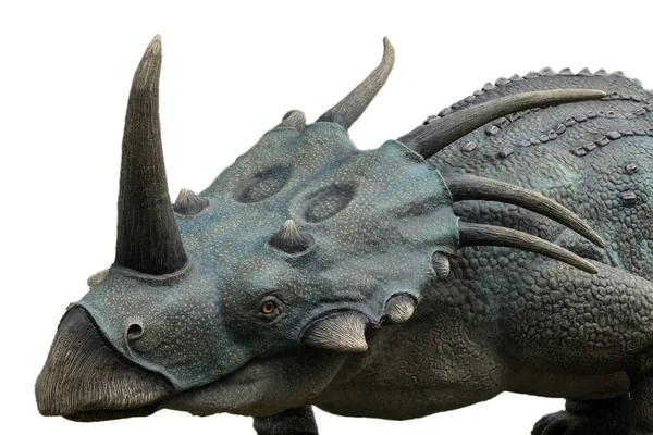 Porträtt av styracosaurus isolerat på vit bakgrund — Stockfoto