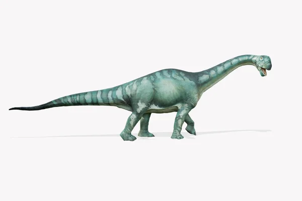 Brontosaurus isolerad på vit bakgrund. — Stockfoto