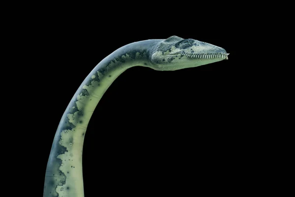 Porträtt av en Plesiosaurus isolerad på svart bakgrund. — Stockfoto