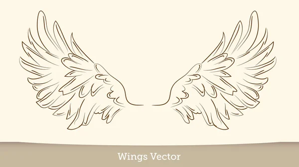 Sketch illustration of wings on white background. vector — Stock Vector