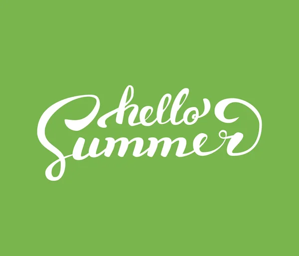 Hallo sommer.brush handgeschriebener Schriftzug. Vektorillustration. moderne Kalligraphie — Stockvektor