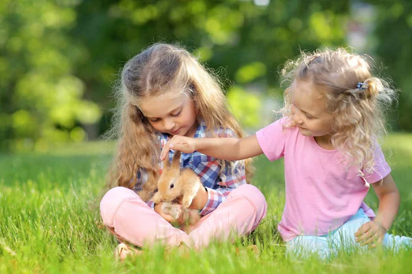 Ragazze Carine Con Coniglietto Seduto Sull Erba Nel Parco Estivo — Foto Stock