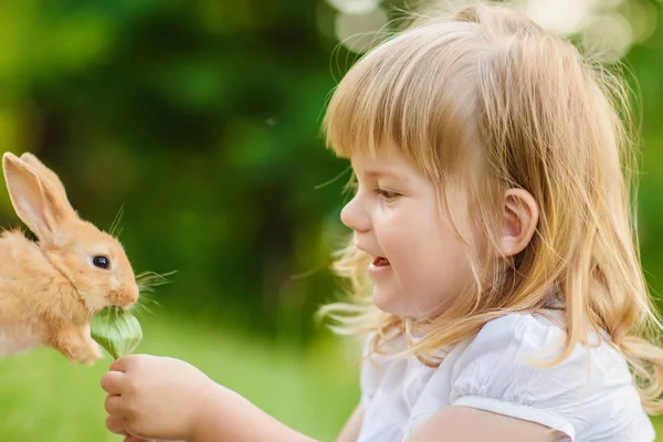 Cute Girl Little Bunny Summer Park — Stock Photo, Image