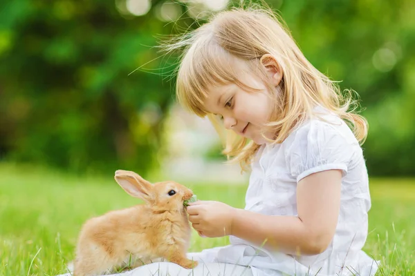 Nettes Mädchen Mit Kleinem Hasen Sommerpark — Stockfoto