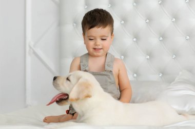 jongen met labrador puppy
