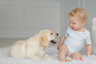 Labrador köpek yavrusu ile küçük kız