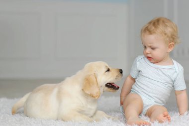 Labrador köpek yavrusu ile küçük kız