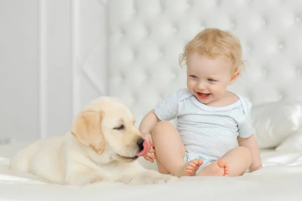 Bébé Fille Avec Chiot Labrador — Photo