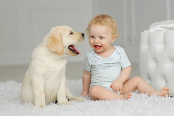 Klein Meisje Met Labrador Puppy — Stockfoto