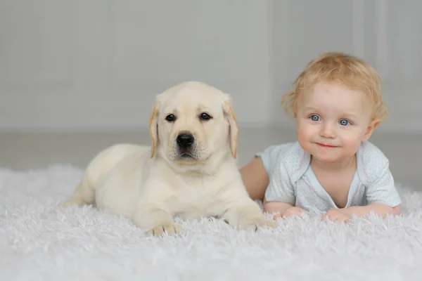 Petite Fille Avec Chiot — Photo