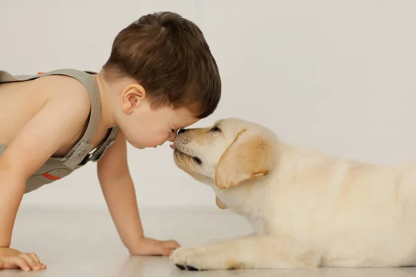 ラブラドール子犬を持つ少年 — ストック写真
