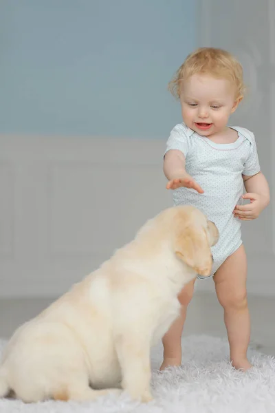 Little Girl Labrador Puppy — Stock Photo, Image