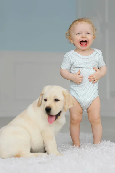 Petite Fille Avec Chiot Labrador — Photo