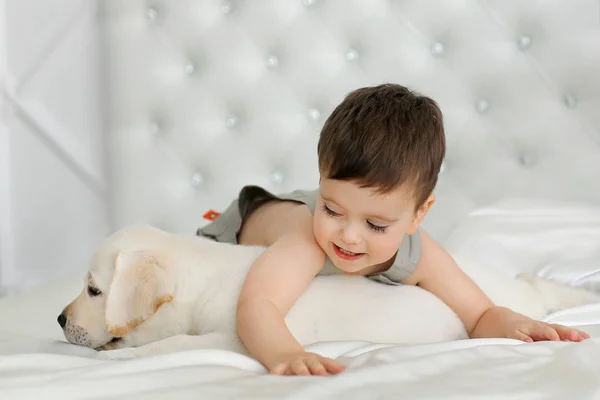 Niño Con Cachorro Labrador —  Fotos de Stock