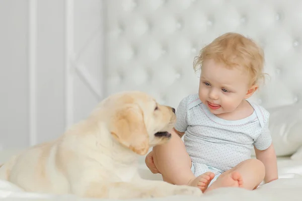 Bébé Fille Avec Chiot Labrador — Photo