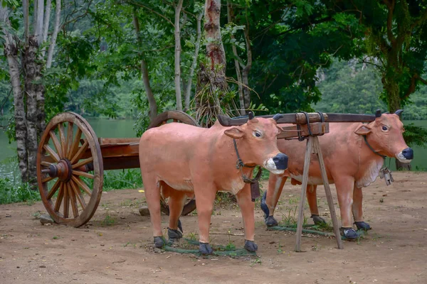 Uma Grande Estátua Vaca Tailândia — Fotografia de Stock