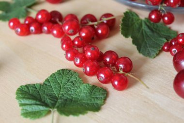     Frenk üzümü meyve ve yaprakları