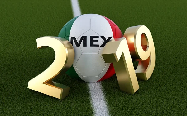 Soccer 2019 - Soccer ball in Mexico flag design on a soccer field. Soccer ball representing the 0 in 2019. 3D Rendering