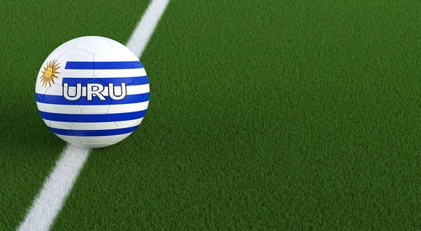Soccer ball in Uruguays national colors on a soccer field. Copy space on the right side - 3D Rendering