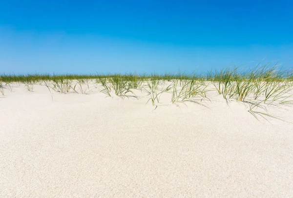 Praia Ilha Sylt Alemanha — Fotografia de Stock