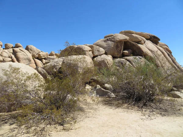 Národní Park Joshua Tree — Stock fotografie