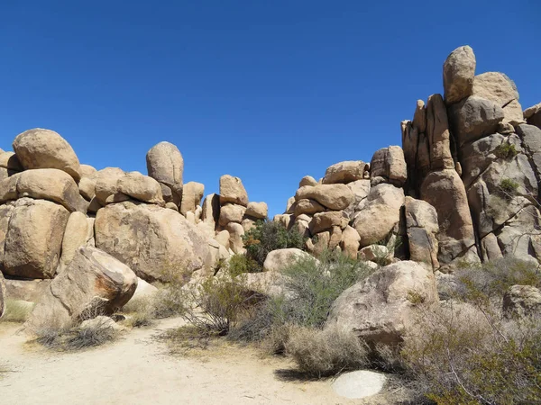 Národní Park Joshua Tree — Stock fotografie