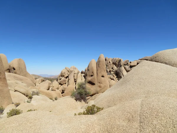 Národní Park Joshua Tree — Stock fotografie