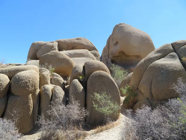 Národní Park Joshua Tree — Stock fotografie