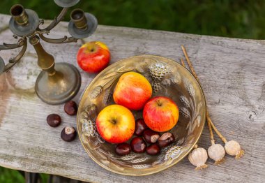 Kral harika elma - elma bir plaka üzerinde 