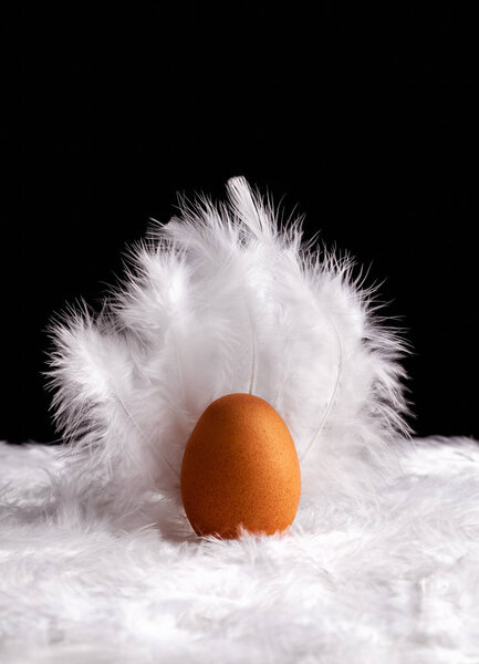 Egg on a feather bed - Brown egg on a bed of soft white feathers. 