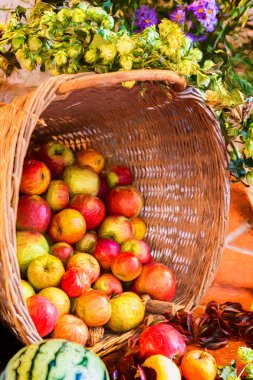 Sepet elma - dijital boyama 