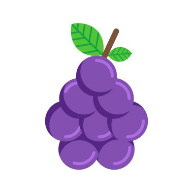 izole edilmiş üzüm çizimi, üzüm simgesi, vektör üzüm simgesi