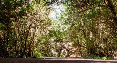 Bir ülke yolu sanat görünümü