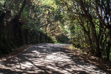 Bir ülke yolu sanat görünümü