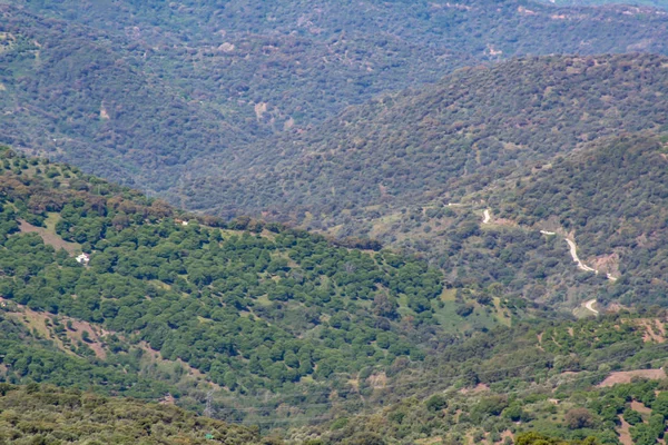 Fantastica vista su una strada di montagna — Foto Stock