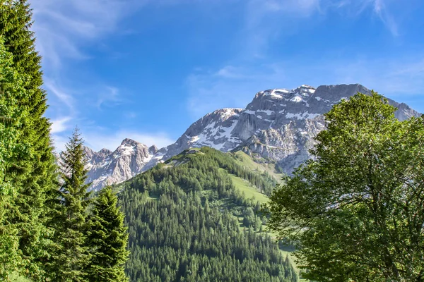Dettaglio vista sulle Alpi europee — Foto Stock