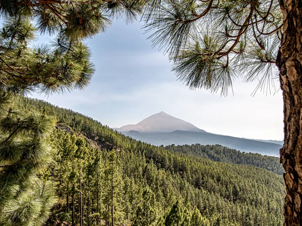 Espectacular vista sobre el bosque a la montaña —  Fotos de Stock