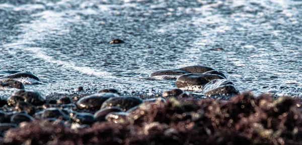 Крупный план камней на пляже, покрытых водой — стоковое фото