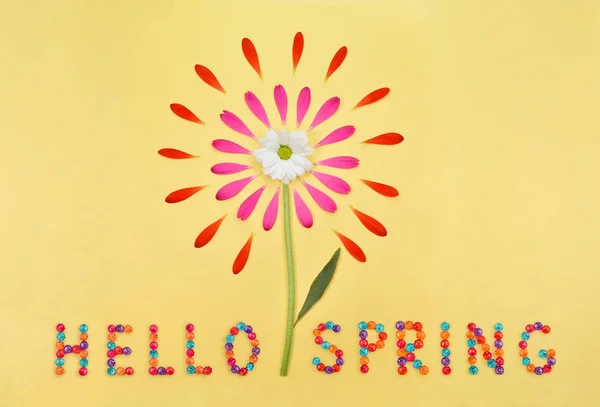 Olá Spring Fundo Floral Fundo Floral Primavera Com Margaridas Com — Fotografia de Stock