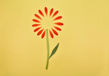 Yazı için yeri olan bahar çiçekleri. Çiçek arkaplan. Sarı arka planda kırmızı taç yaprakları.