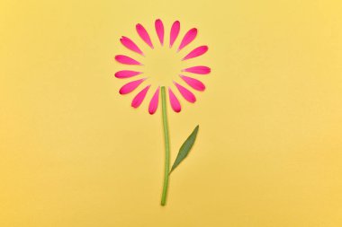 Yazı için yeri olan bahar çiçekleri. Çiçek arkaplan. Sarı arka planda pembe taç yaprakları..