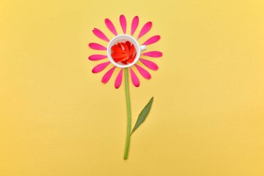 Çiçek arkaplan. Yazı için yeri olan bahar çiçekleri. Güzel çiçekler. Sarı arka planda pembe yapraklar. Çiçek yaprakları ve papatyalar.