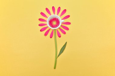 Çiçek arkaplan. Yazı için yeri olan bahar çiçekleri. Güzel çiçekler. Sarı arka planda pembe yapraklar. Çiçek yaprakları ve papatyalar.