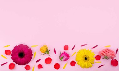 Pembe arka planda bahar çiçekleri. Bahar ya da yaz çiçekleri ve metin için fotokopi alanı. Güzel çiçekler. Çiçek kompozisyonu. Merhaba yaz. Merhaba Spring. Düz uzan..