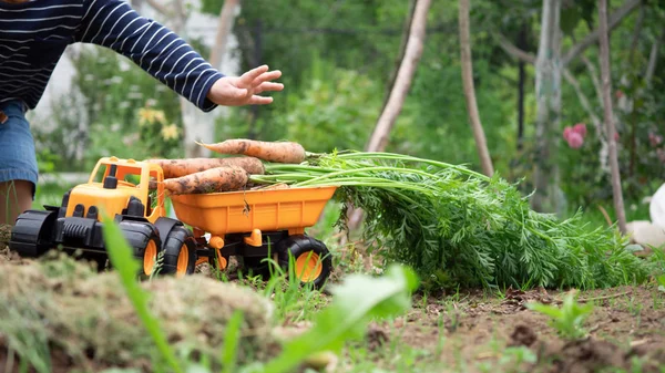 Petani kecil yang lucu bermain di kebun — Stok Foto