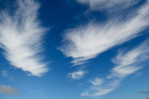 White Clouds Background Blue Sky — Stock Photo, Image