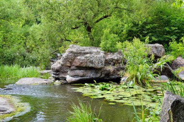 Bir bulutlu gökyüzü arka plan bir kanyonda yeşil ağaçlar