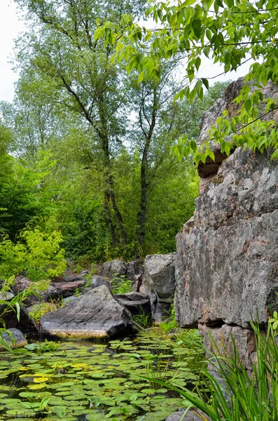 Bir bulutlu gökyüzü arka plan bir kanyonda yeşil ağaçlar